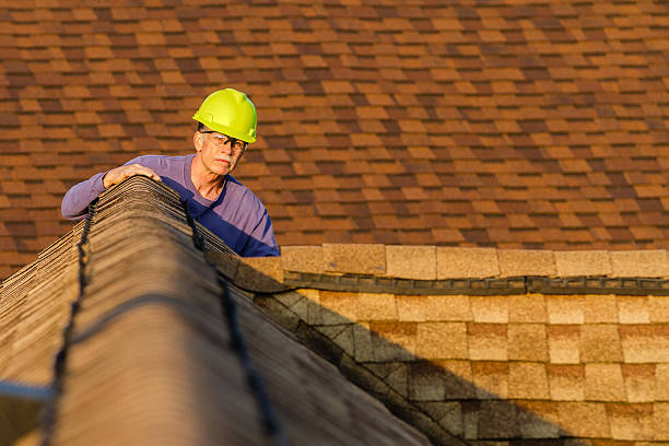 Professional Roofing Contractor in Loyola, CA
